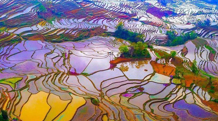 The Stairway to Heaven: How the Hani People Sculpted a Mountain into Art