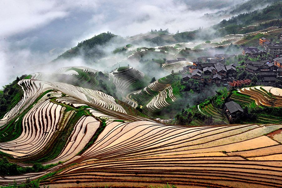 The Dragon's Backbone: Climbing the Steps of an Agricultural Masterpiece
