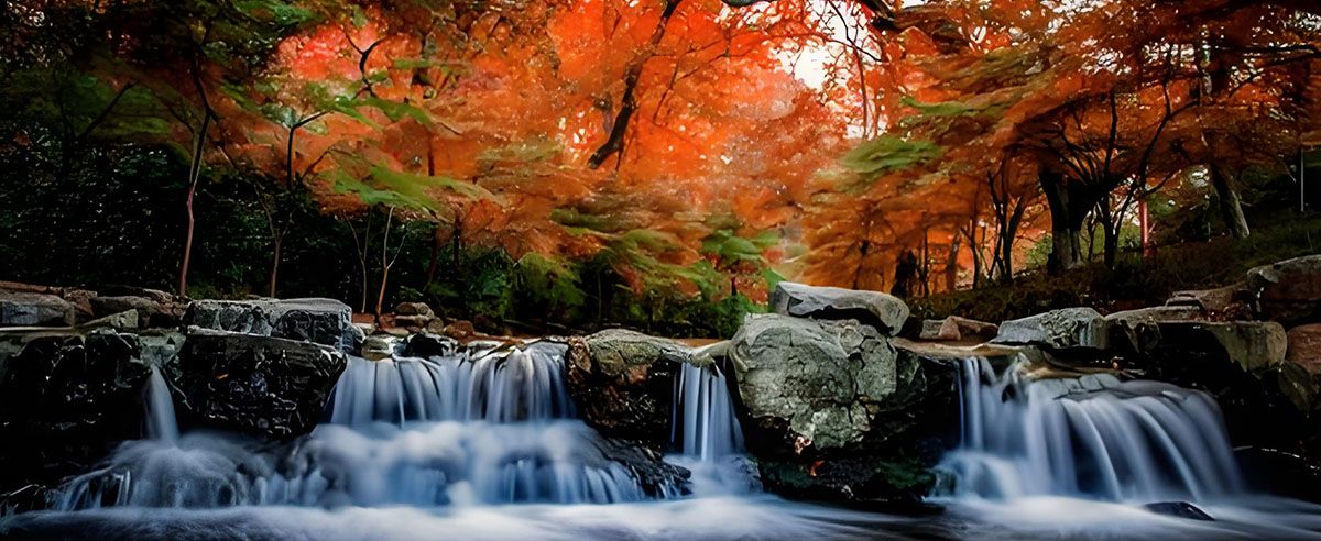 Dragon’s Brew & Emerald Trails: A Mythical Day Hike Through Hangzhou’s Nine Creeks