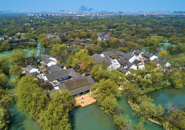 Where Tech Giants and Ancient Wetlands Coexist in Perfect Harmony