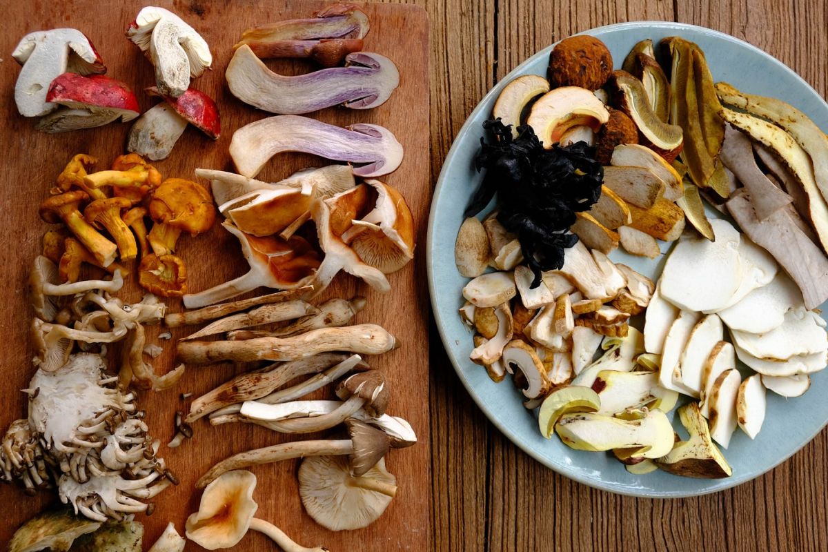 Hunting for Treasure in a Soup Pot: The Magic of Yunnan's Mushroom Season